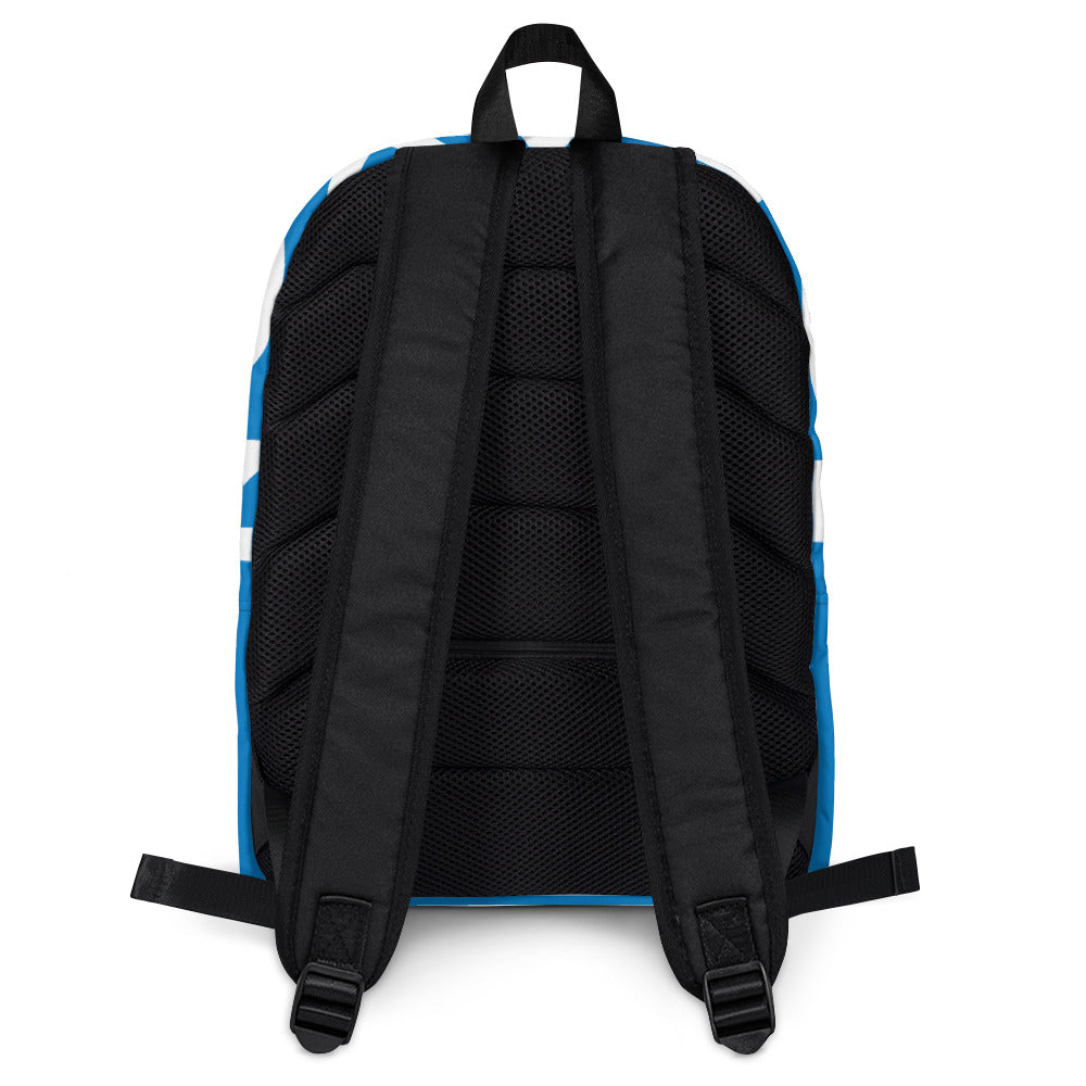 TORAYON Light Blue Backpack