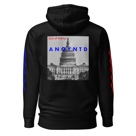 ANOYNTD [DC] Series Unisex Hoodie