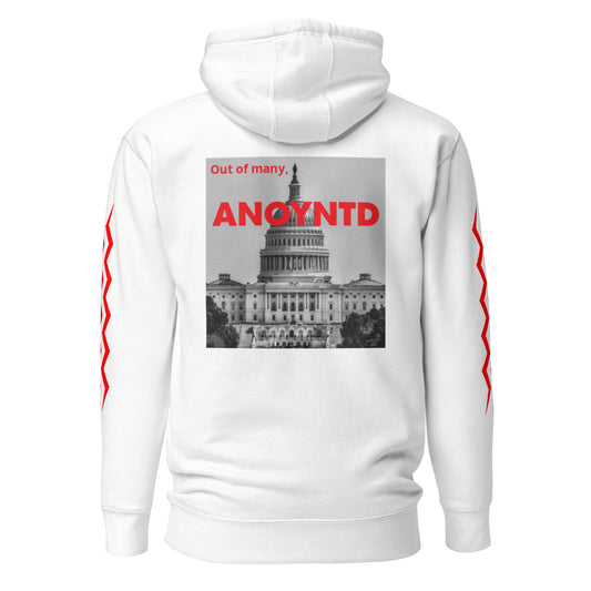 ANOYNTD [DC] Series Unisex Hoodie