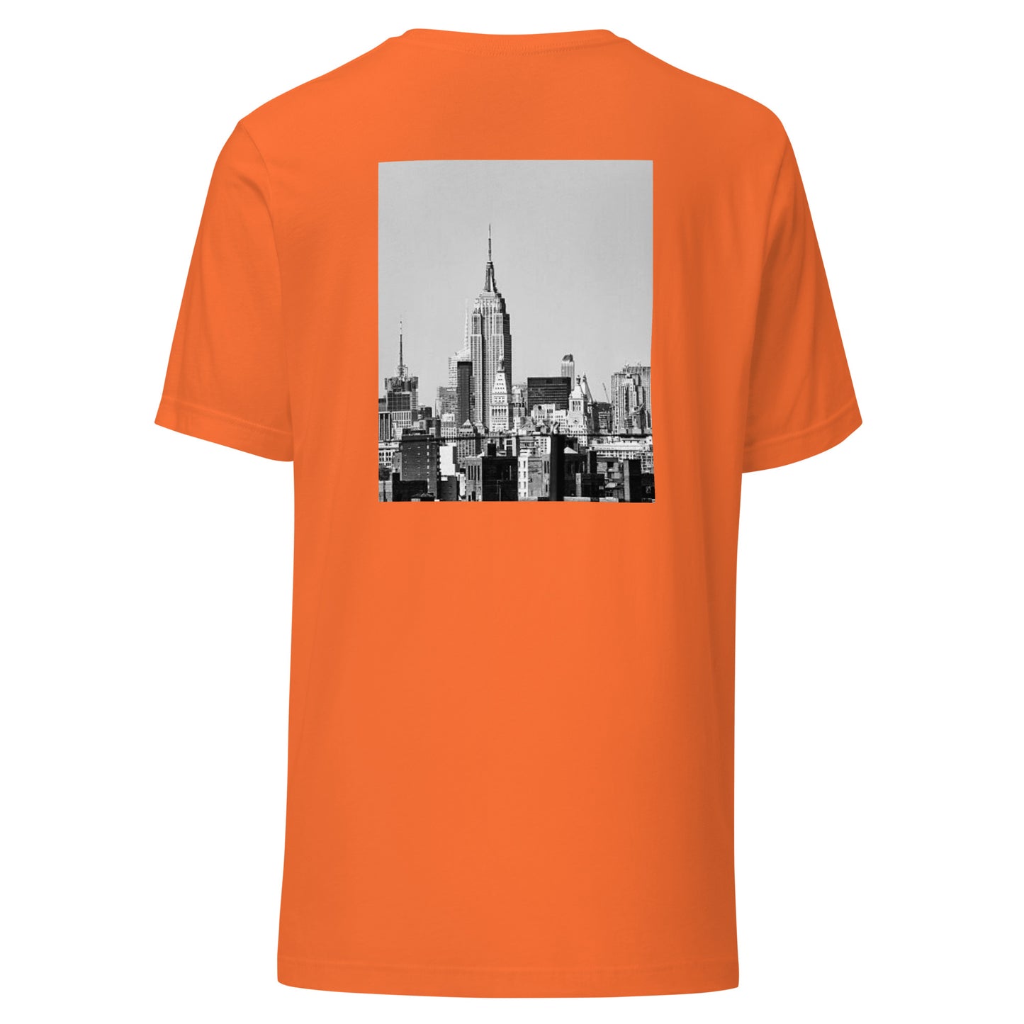 ANOYNTD [NYC] Series Unisex t-shirt