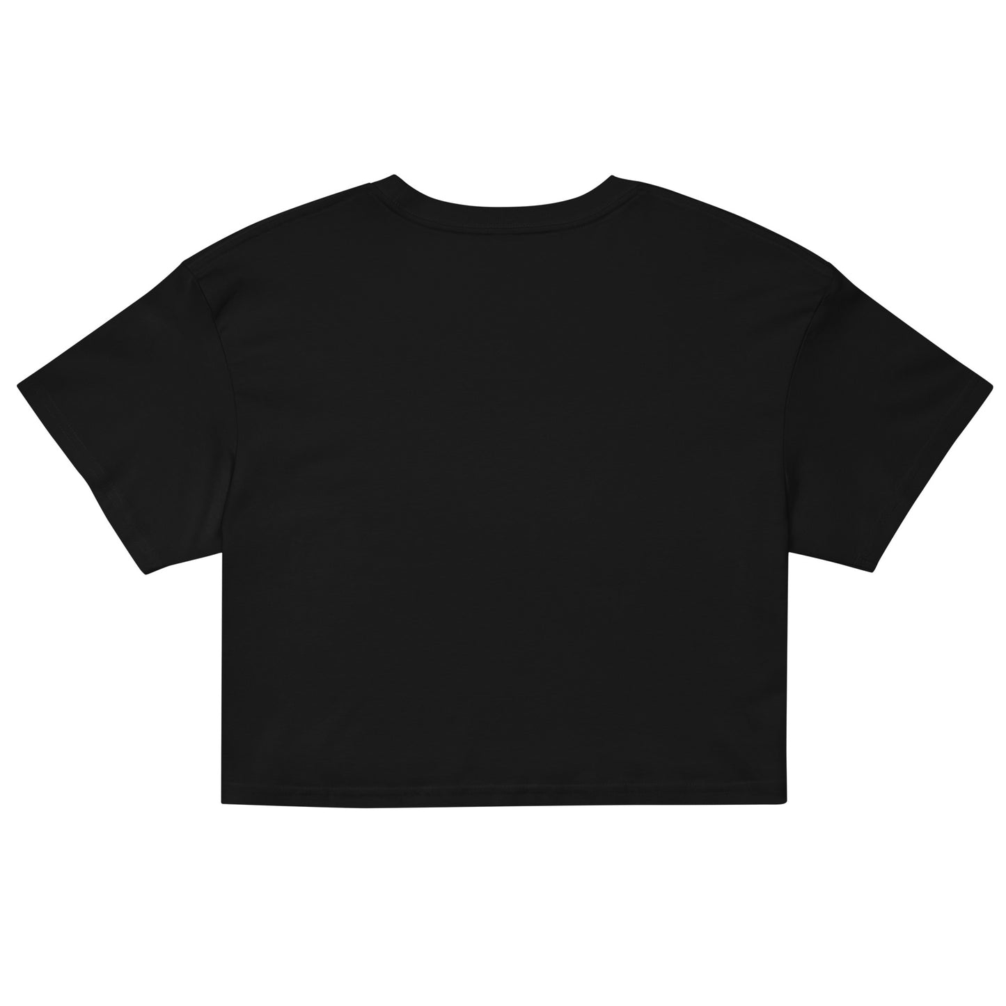 ANOYNTD [LETTERMAN] Series (Pi) Women’s Crop Top