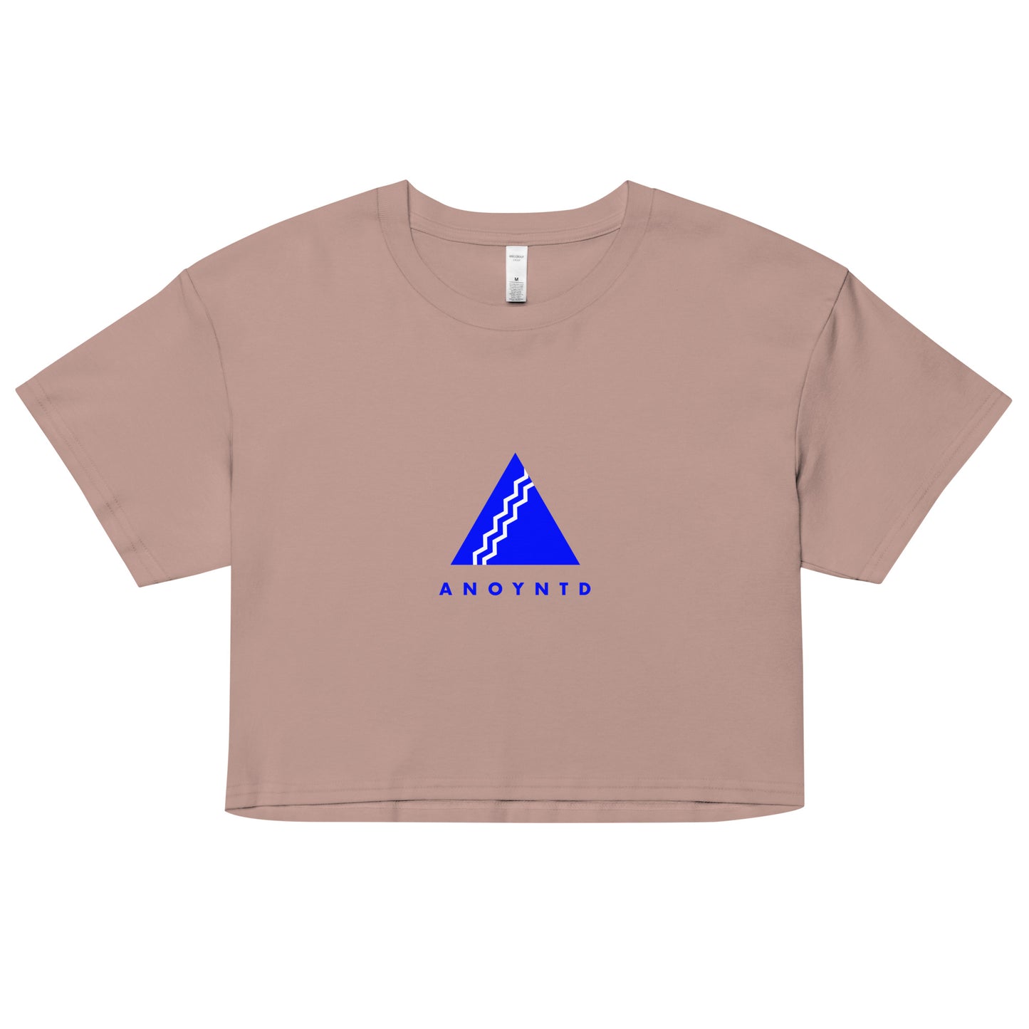 ANOYNTD Pyramid Series (Bl) Women’s crop top