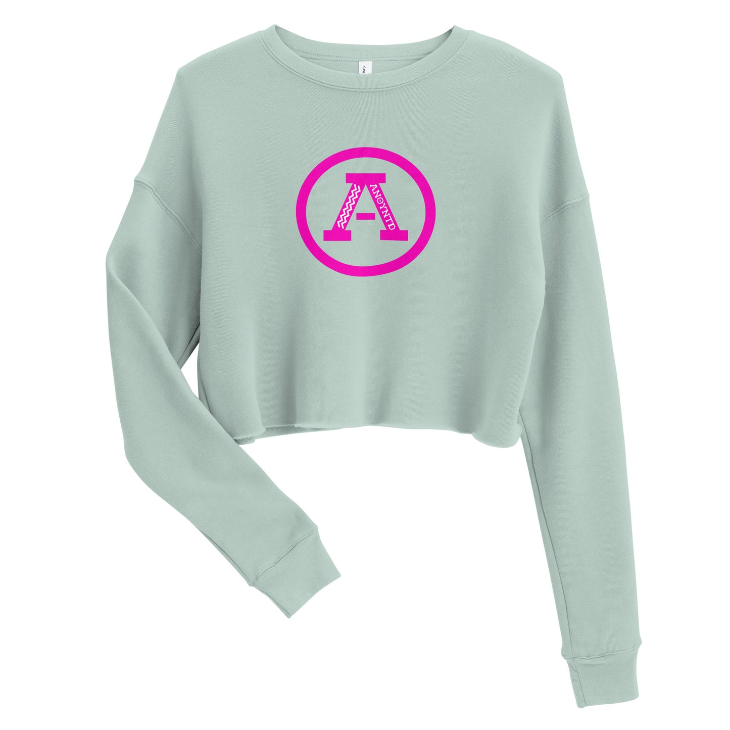 ANOYNTD Letterman (Pi) Crop Sweatshirt