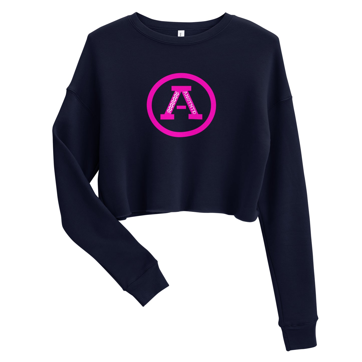 ANOYNTD Letterman (Pi) Crop Sweatshirt